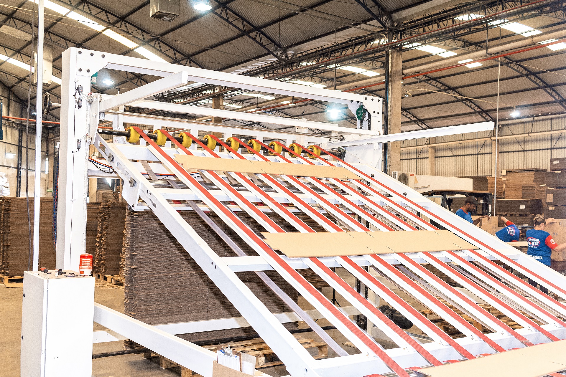 IMG_5904 ( FINAL ).jpg