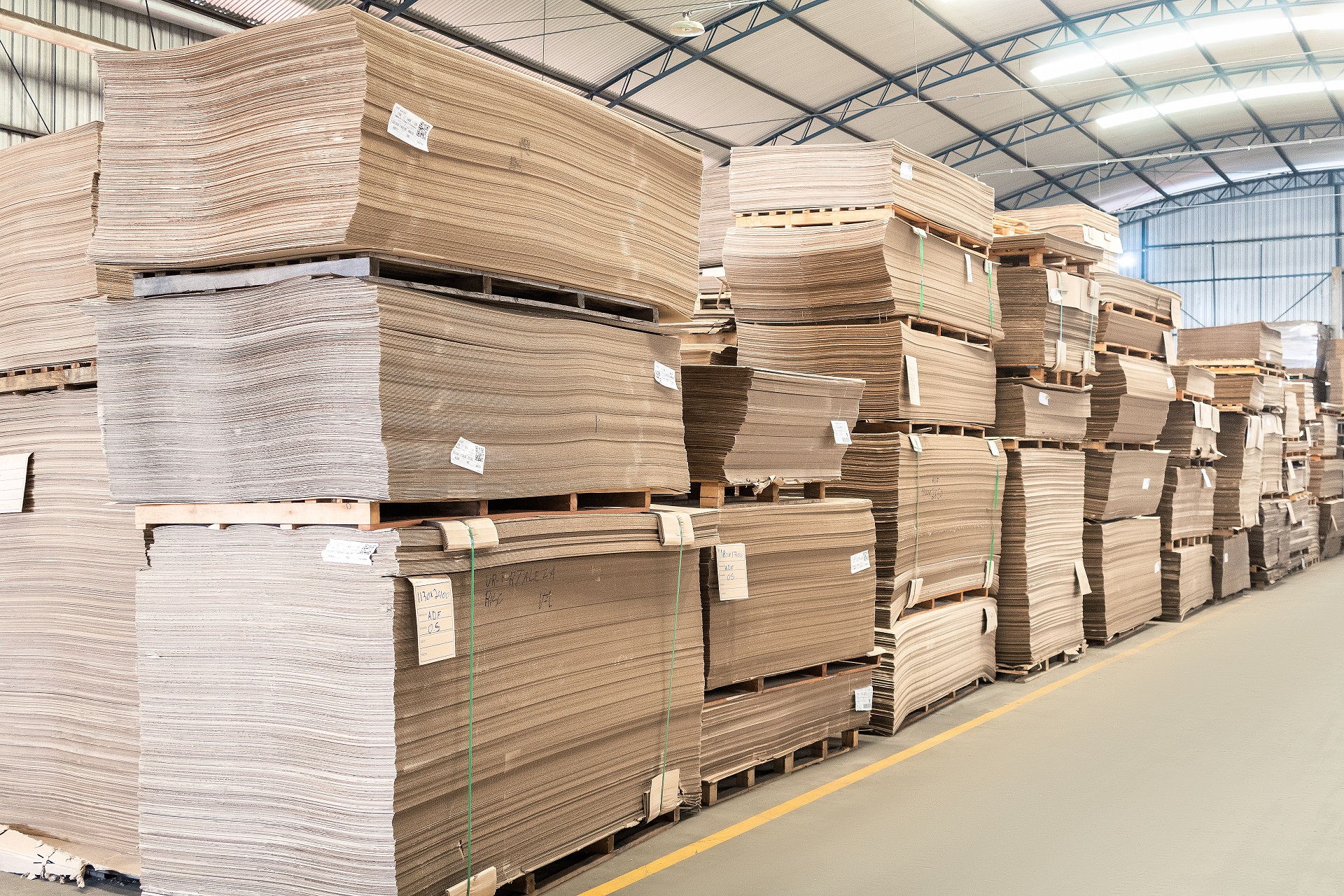 IMG_5918 ( FINAL ).jpg